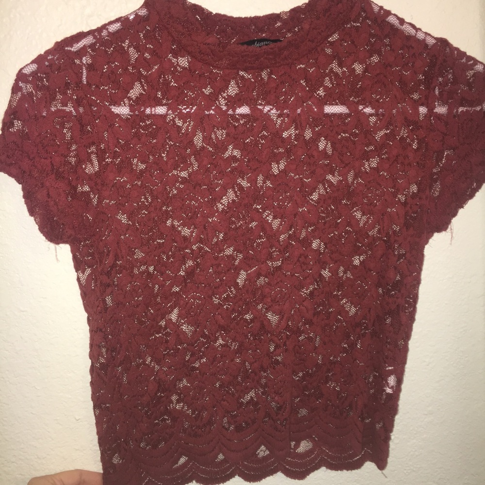 Sheer Lace Cropped Top